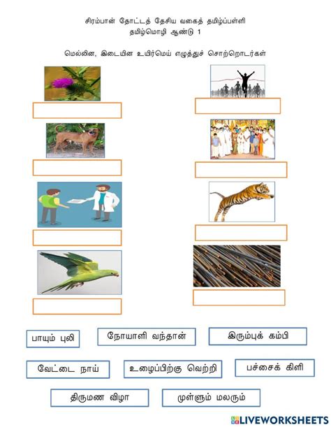 மெல்லினம்